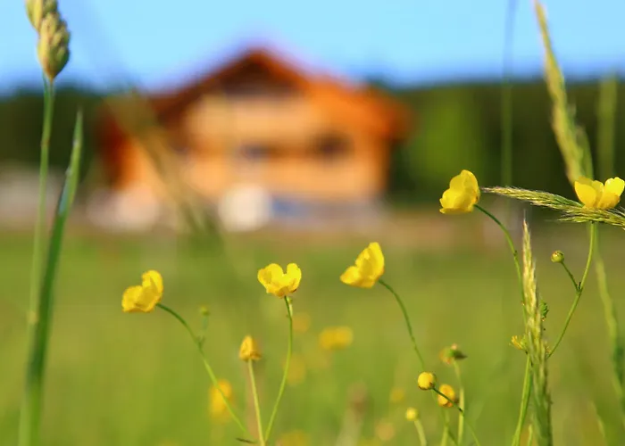 Naturpension Max-Hütte